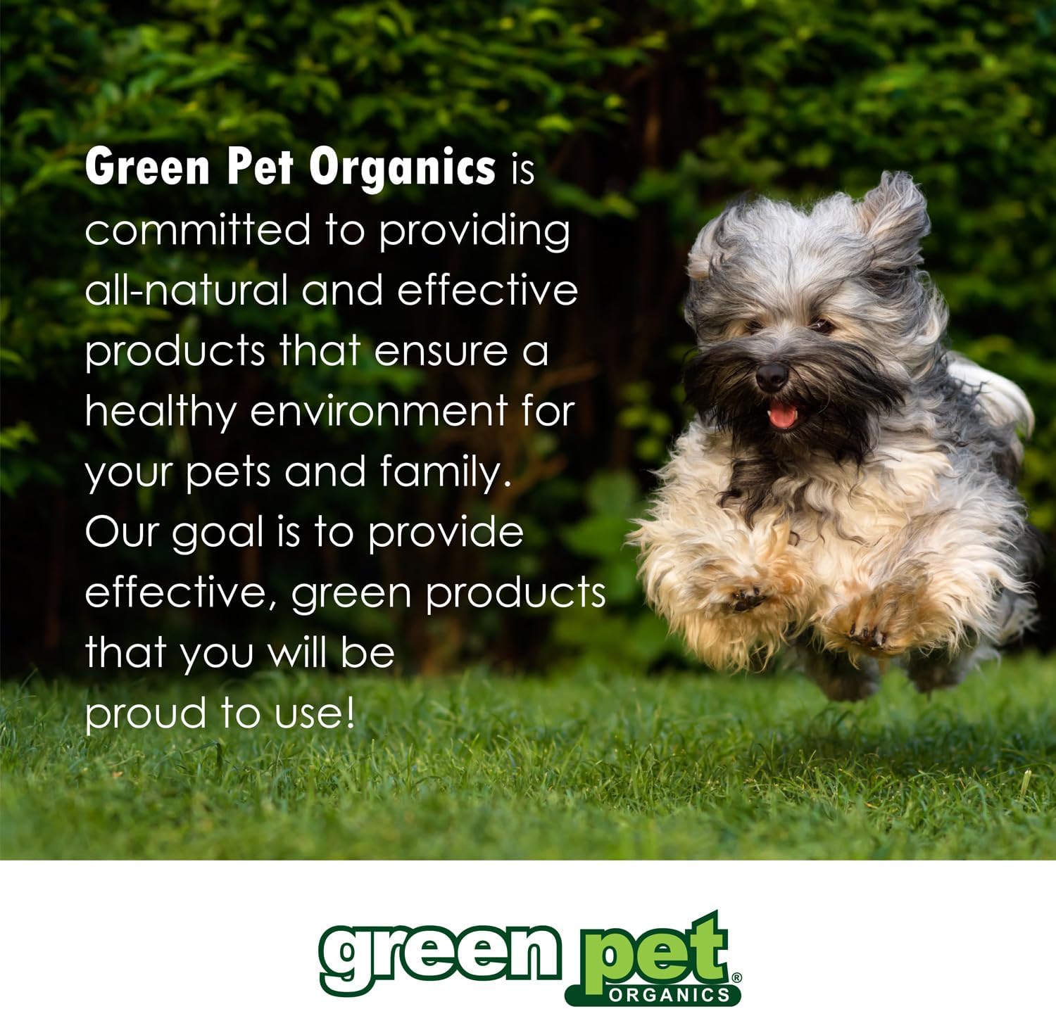 Bonies Natural Calming Formula Small-Sized Single Bone - Contains Chamomile & Lavender, Help Anxiety, Excessive Barking & Trembling, Chicken Flavor, Small Dogs, 120 Bones