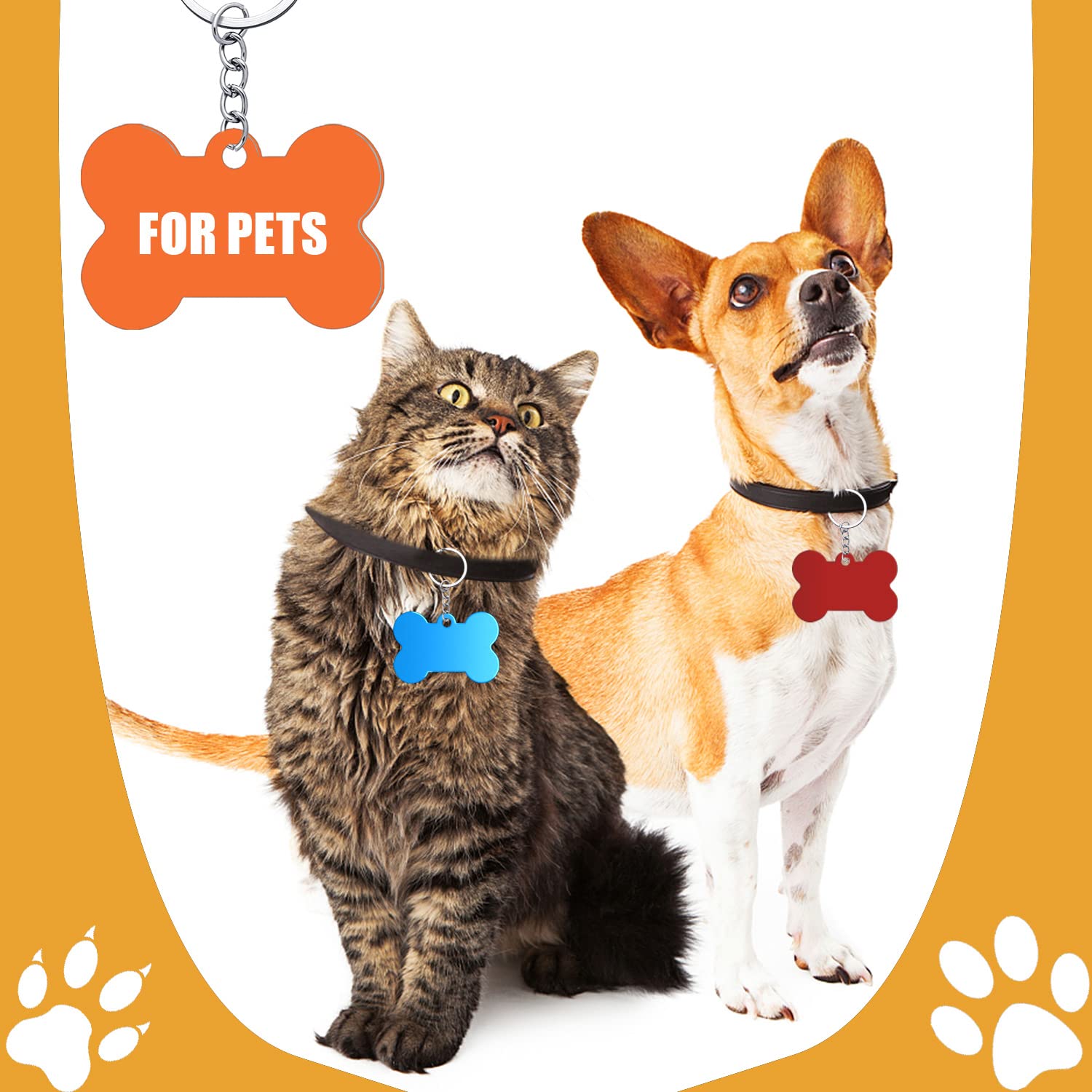 Medaglietta Per Animali Domestici In Acciaio - Personalizzabile Con Foto E Indirizzo - Foto 2