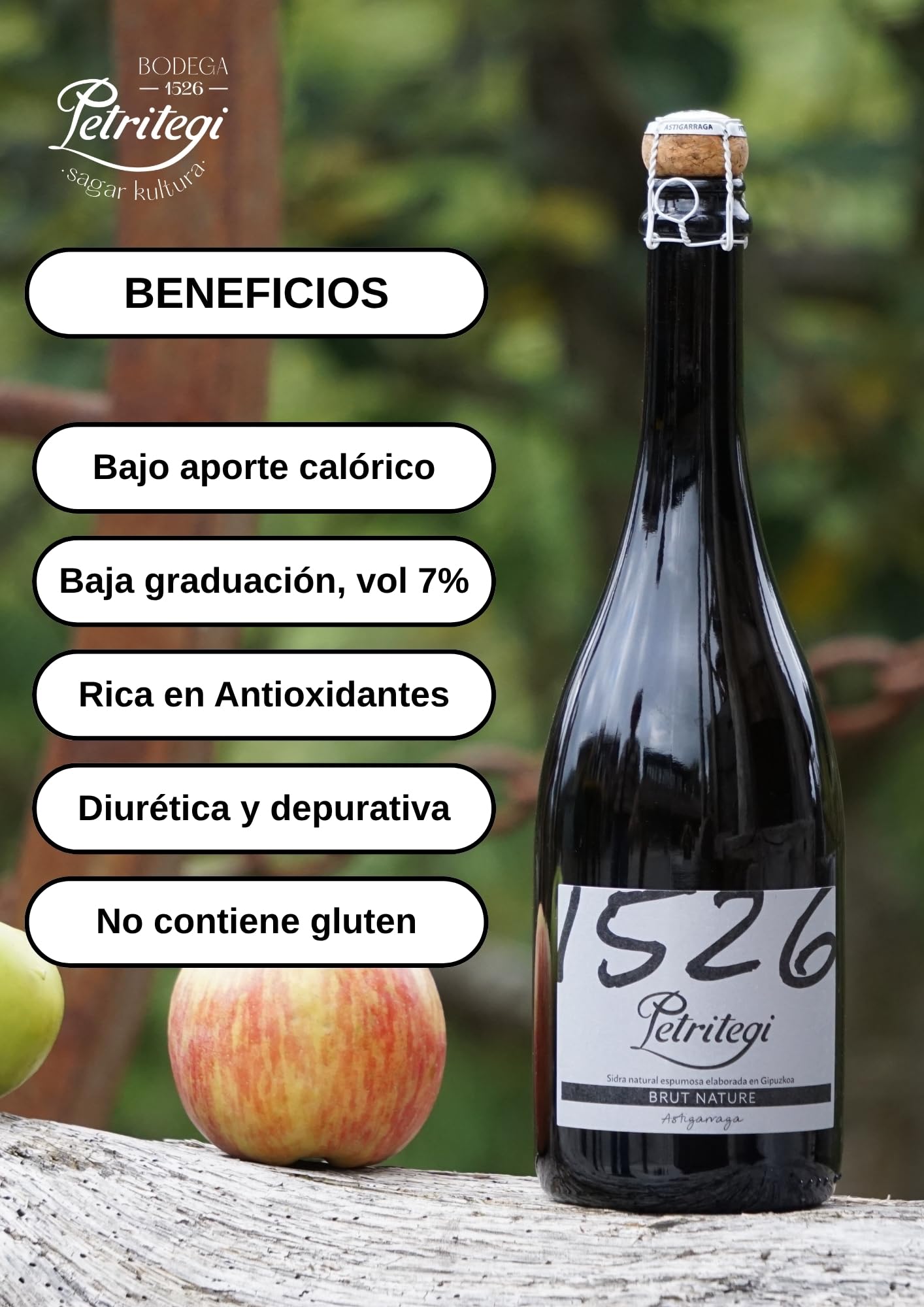 Sidra Natural Espumosa Petritegi Aparduna Brut Nature – Elaborada con Manzanas Autóctonas del País Vasco según el Método Tradicional de Segunda Fermentación en Botella 7% vol. (Pack 3)