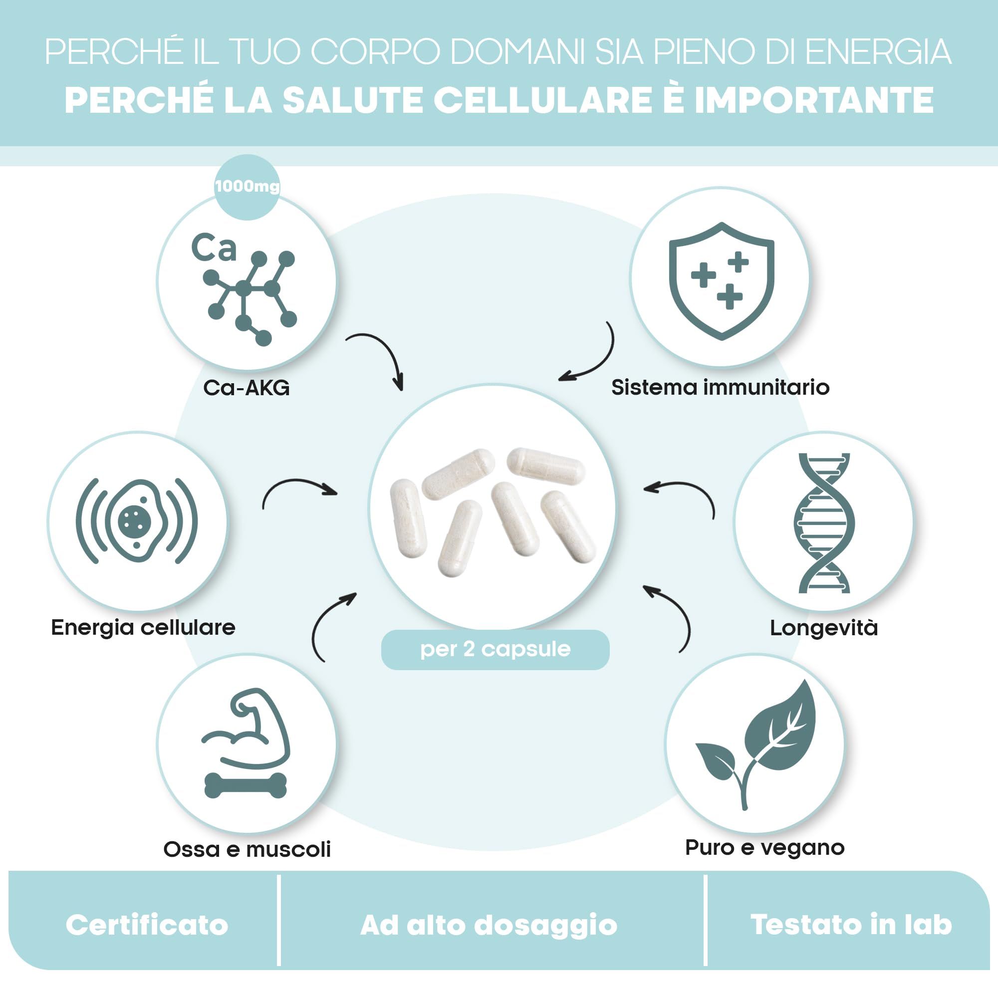 CaAKG | Calcio Alfa-chetoglutarato | 60 capsule | alta dose | 1000 mg | CaAKG di alta qualità senza additivi