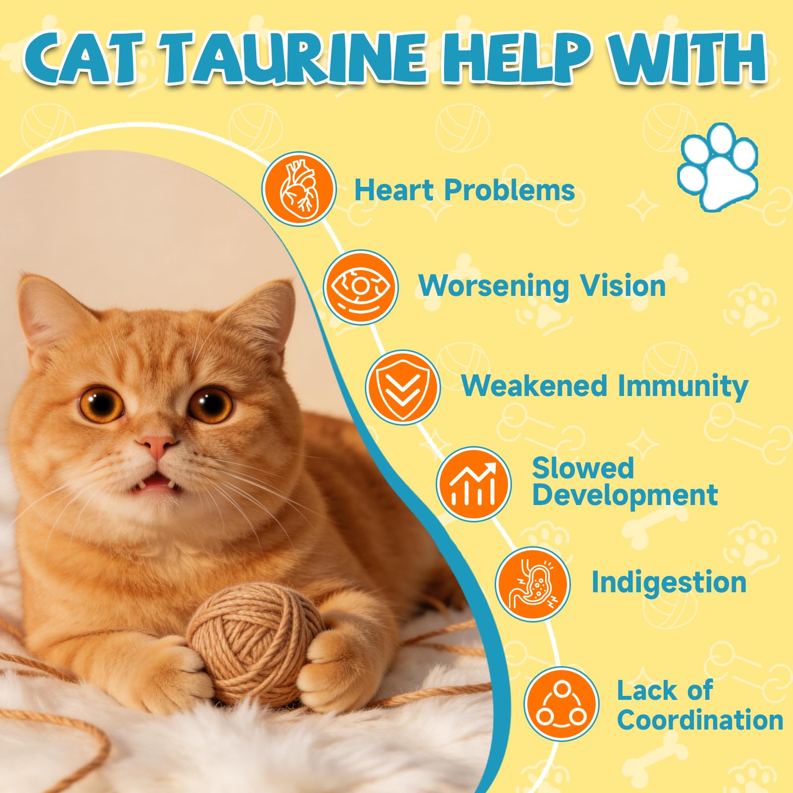 Taurina per Gatti Gocce – Integratore Taurina per Gatti, Felina Cardiaca e Vista, Immunitaria, l'Energia e Vitalità, Coenzima Q10, L-Carnitina, L-Arginina, Vitamine, Liquida Gatto Taurina, 60ml