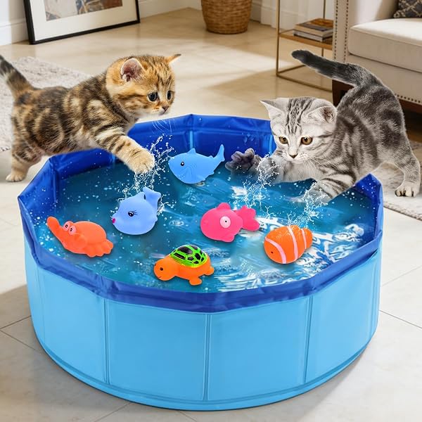 Petit Piscine Chat, 30×10cm Pataugeoire Chat, Piscine pour Chat avec Poisson, Piscines pour Animaux, Piscine pour Chien Pliable, Pataugeoire Pliable, Mini Pataugeoire pour Bain et Jeux - 5