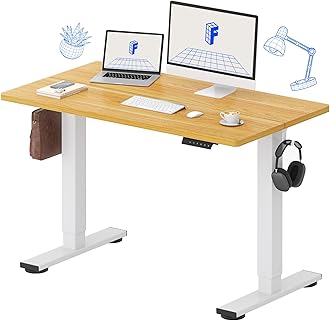 FLEXISPOT Standing Desk Electric Height Adjustable Desk with 48 x 24 Inches Splice Board, Ergonomic Memory Controller, Maple Top + White Frame