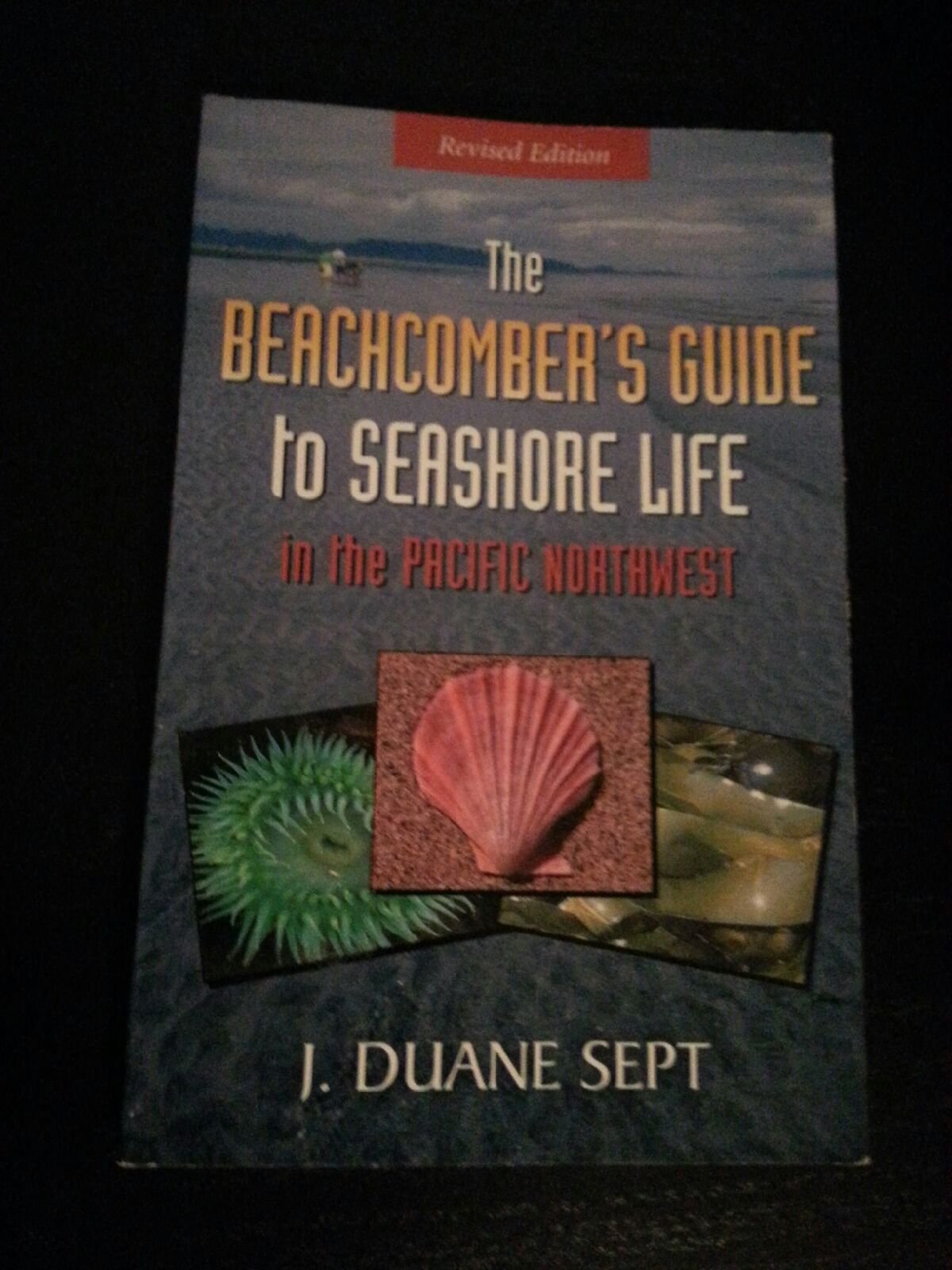 The Beachcomber's Guide to Seashore Life in the Pacific Northwest