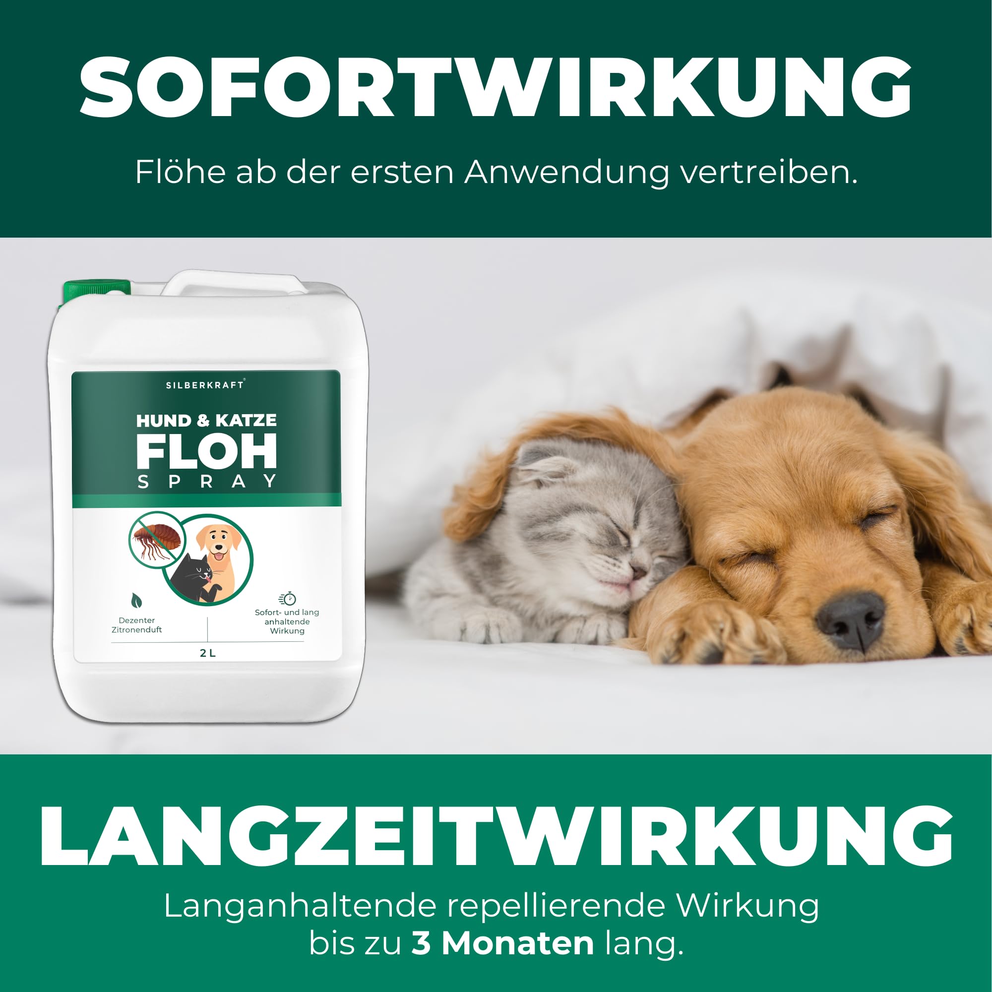 Silberkraft Flohmittel, Floh-Spray 2 L - Flohspray für Hund, Katze und andere Haustiere - Anwendung am Tier - ideales Anti-Floh-Mittel gegen Flöhe, Zecken, Parasiten, Ungeziefer…