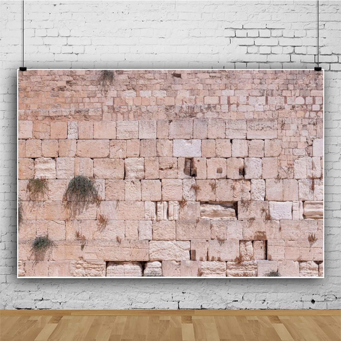 10x6.5ft Western Wall Backdrop Ancient Jerusalem Photo Background Jerusalem Wailing Wall Background for Photography Israel Ancient Cityscape Backdrop Church Event Room Decor Props