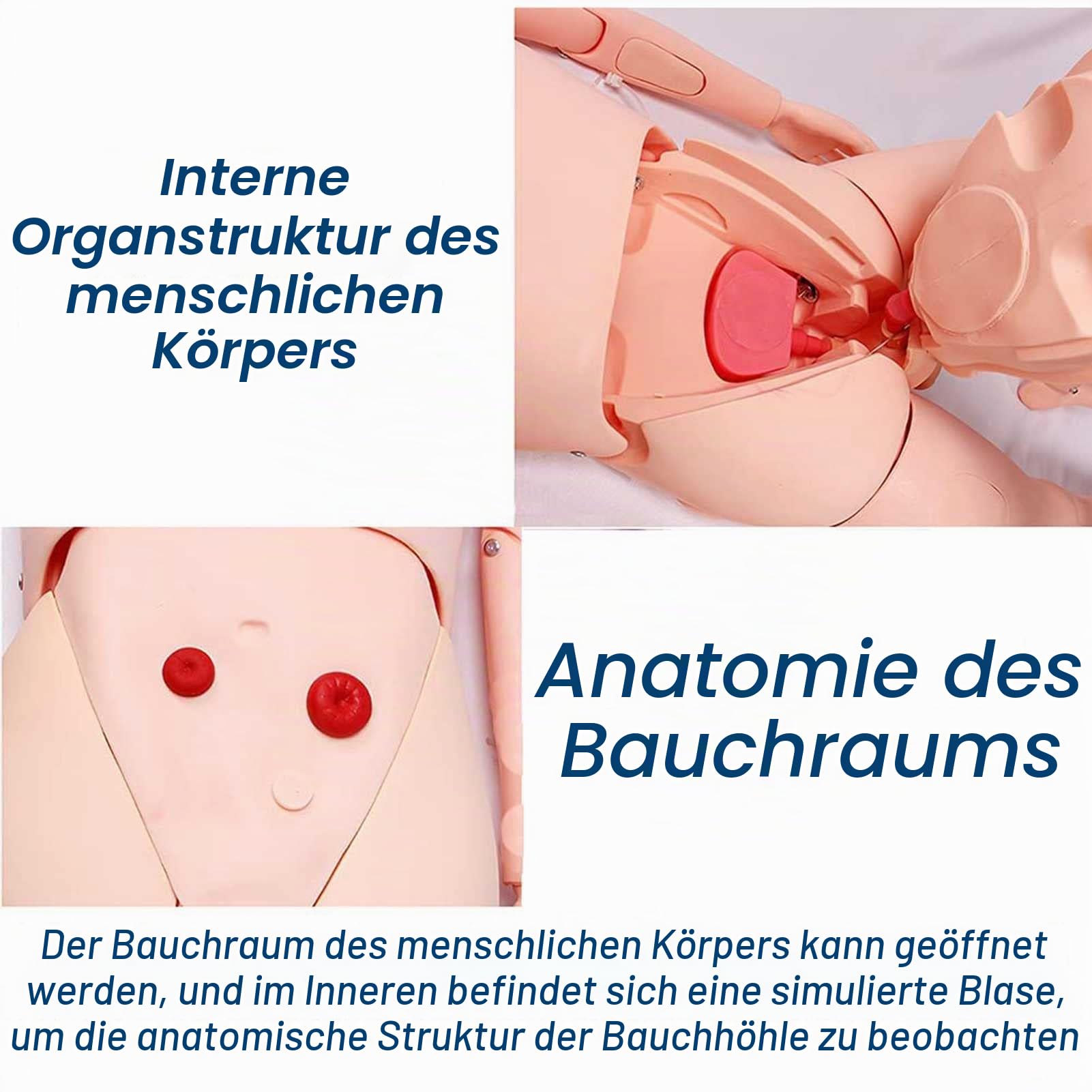170 cm lebensgroße Krankenpflege Pflegepuppe Altenpflege PVC Krankenpflegepuppe, Schaufensterpuppe zum Lehre & Bildung Medizinische Versorgung