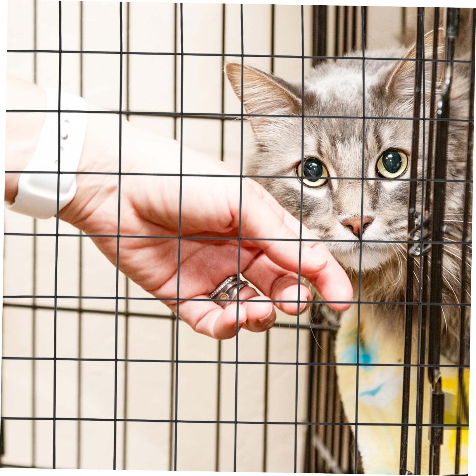 TOYANDONA 4 Unitá Rete in Ferro Nera per Recinto Animali, Pannelli Smontabili per Gabbia Cani, Protezione Giardino e Volatili, Stabili