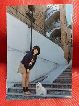 Amazon.co.jp: 松田聖子さん 切り抜き 15P : おもちゃ