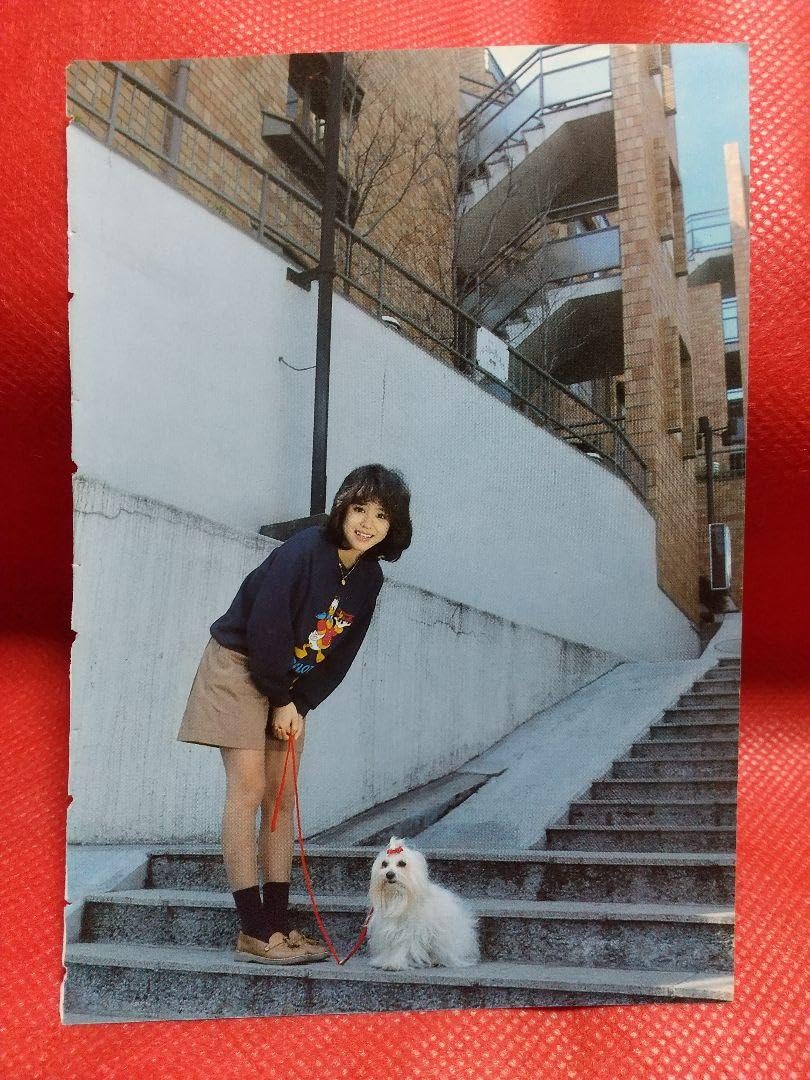 Amazon.co.jp: 松田聖子さん 切り抜き 15P : おもちゃ