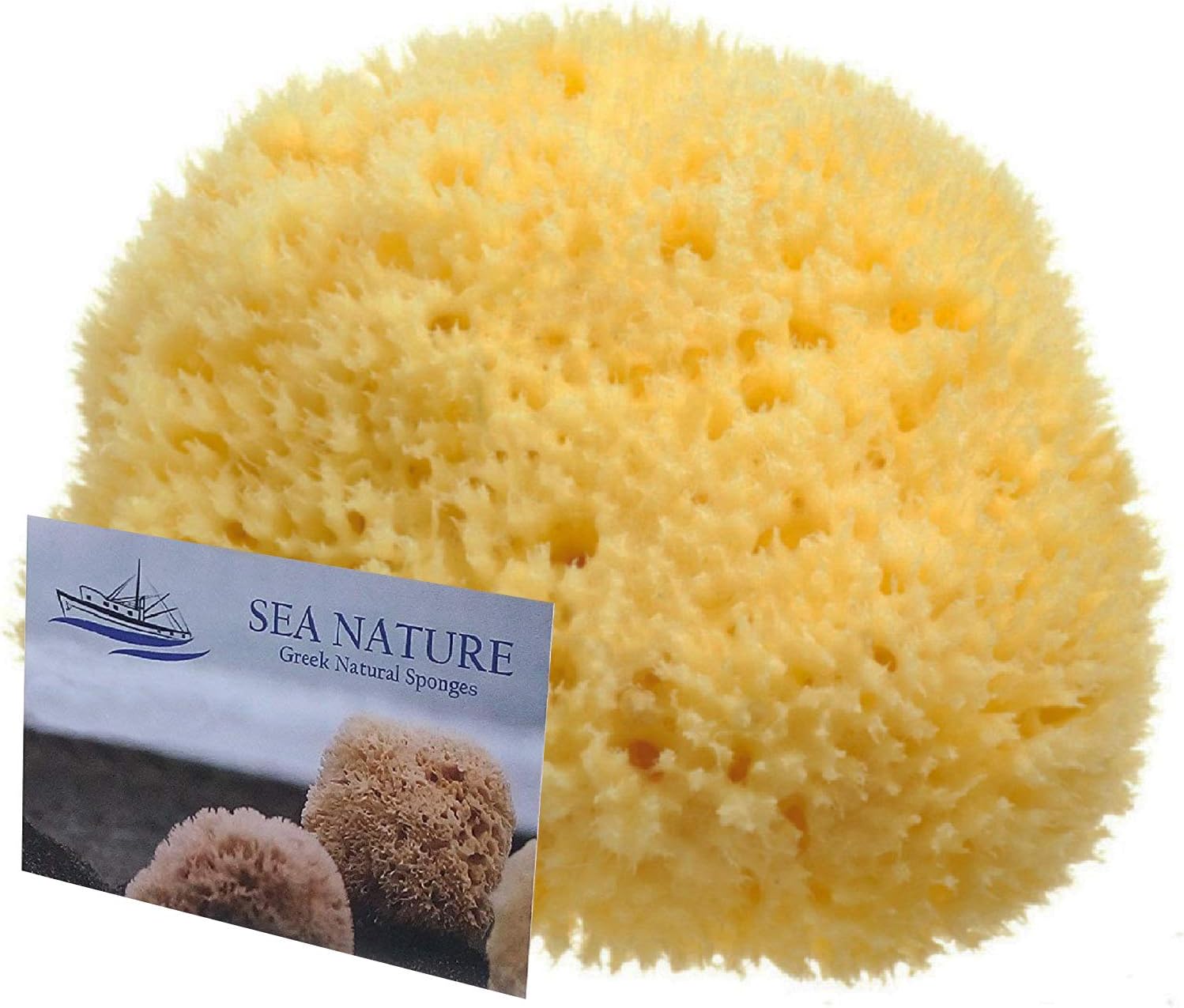 Natural Sea Sponge Sea Nature Brand 5-6 inches Soft Type for Body Bath and Face Cleaning Ideal for Baby Bathing
