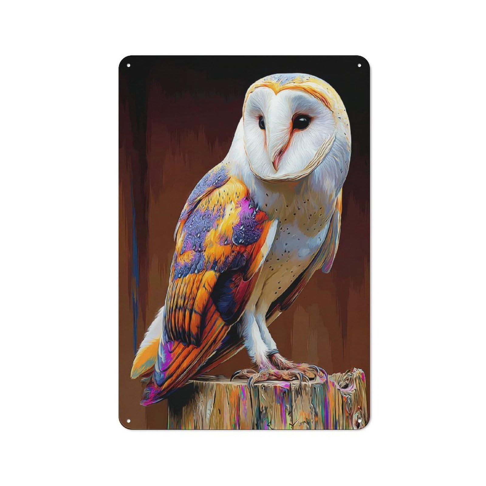 Junmoney Colorful Barn Owl Artwork Tin Wall Plaque 30X20cm With For Garage Or Workshop, For Living Room, Hallway And Entrance Wall Decor