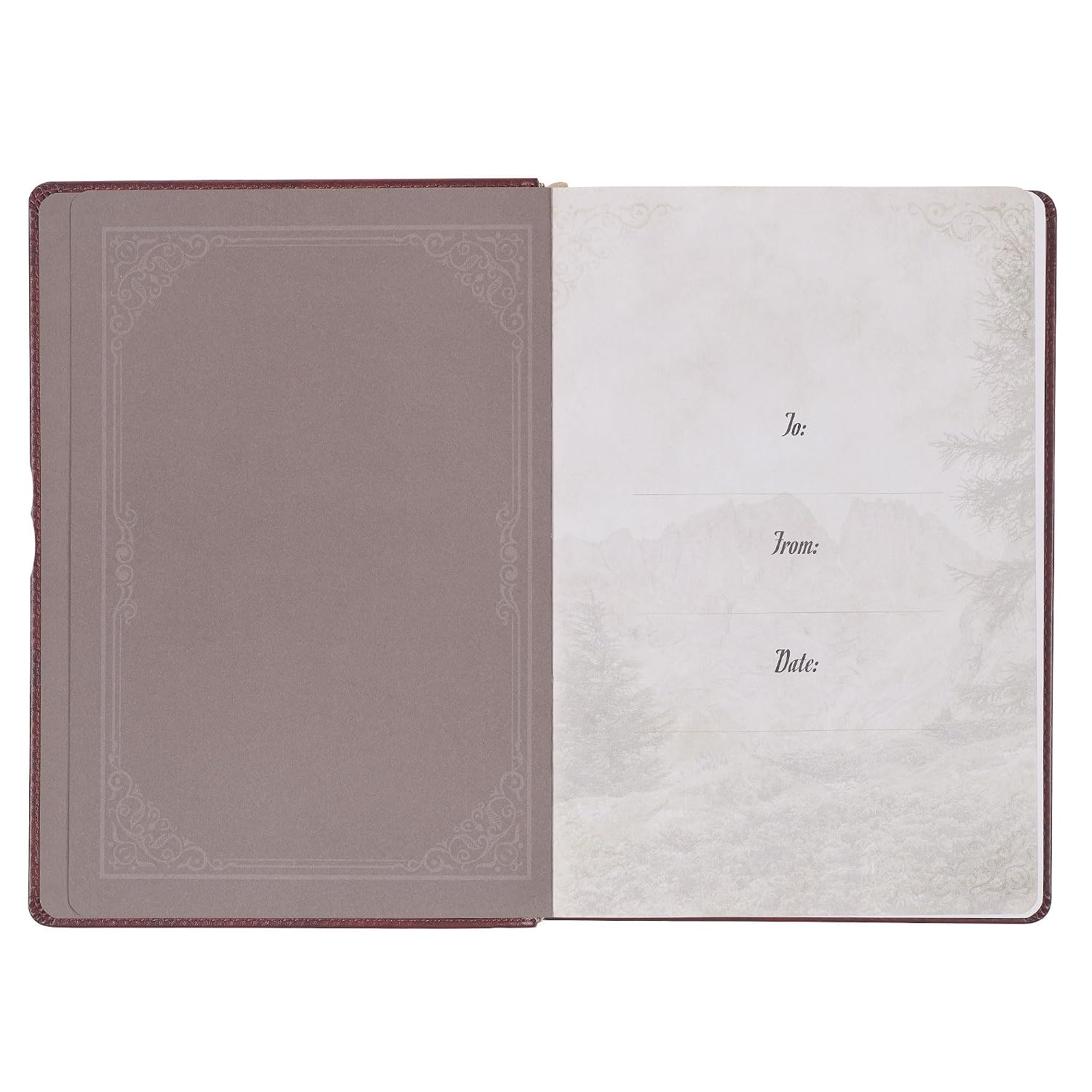 Pursuing God 366 Daily Devotions Large Print