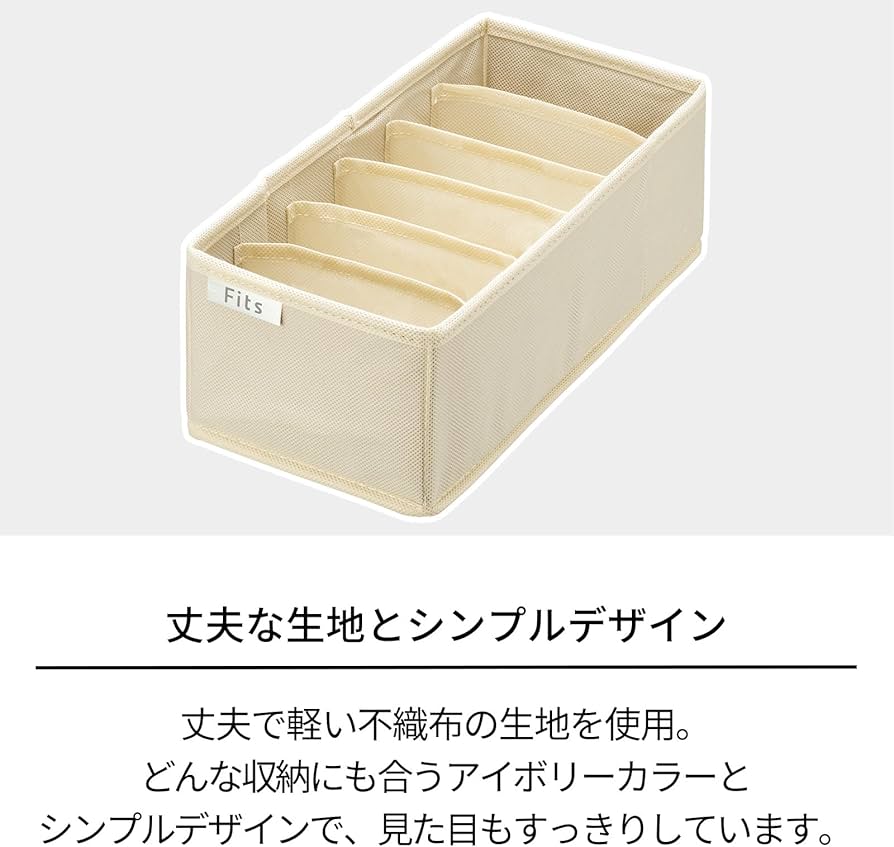 Amazon｜天馬(Tenma) せいとんボックス Lサイズ(仕切り18マス