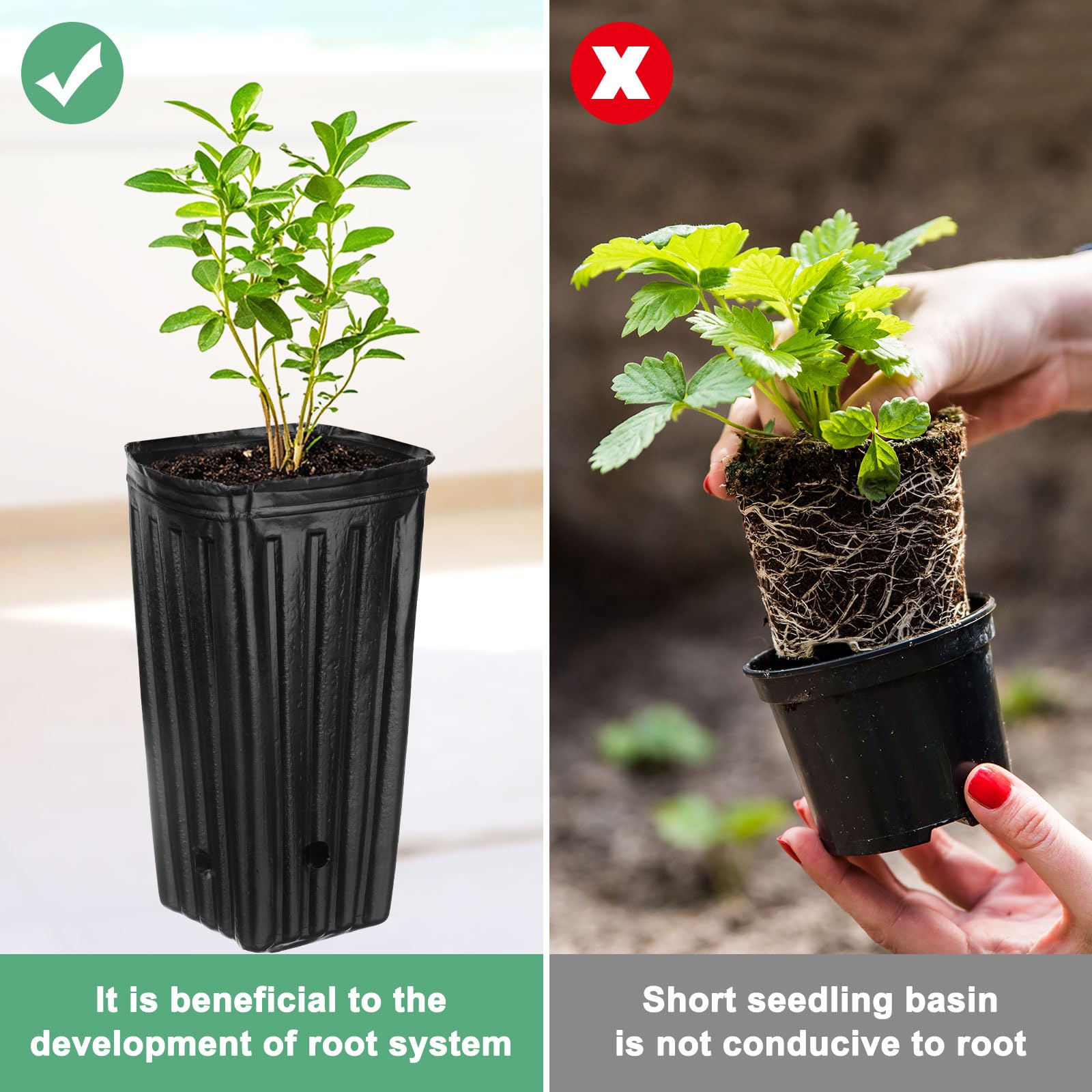 M METERXITY 100-Pack Plant Nursery Pots - Image 4