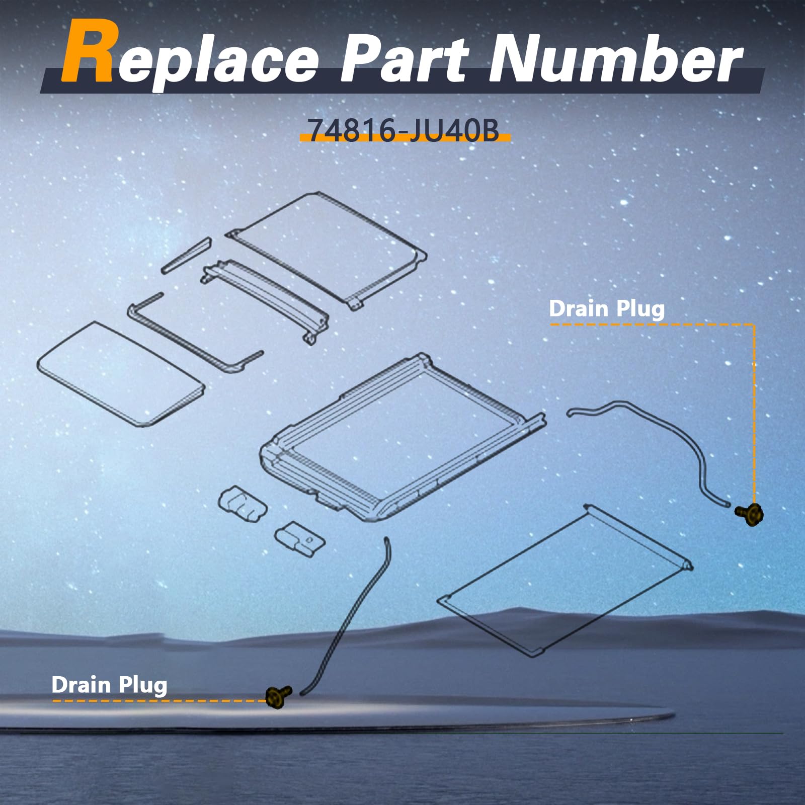 Amazon.com: FUSCH 2PCS Improved Sunroof Drain Hose Plugs