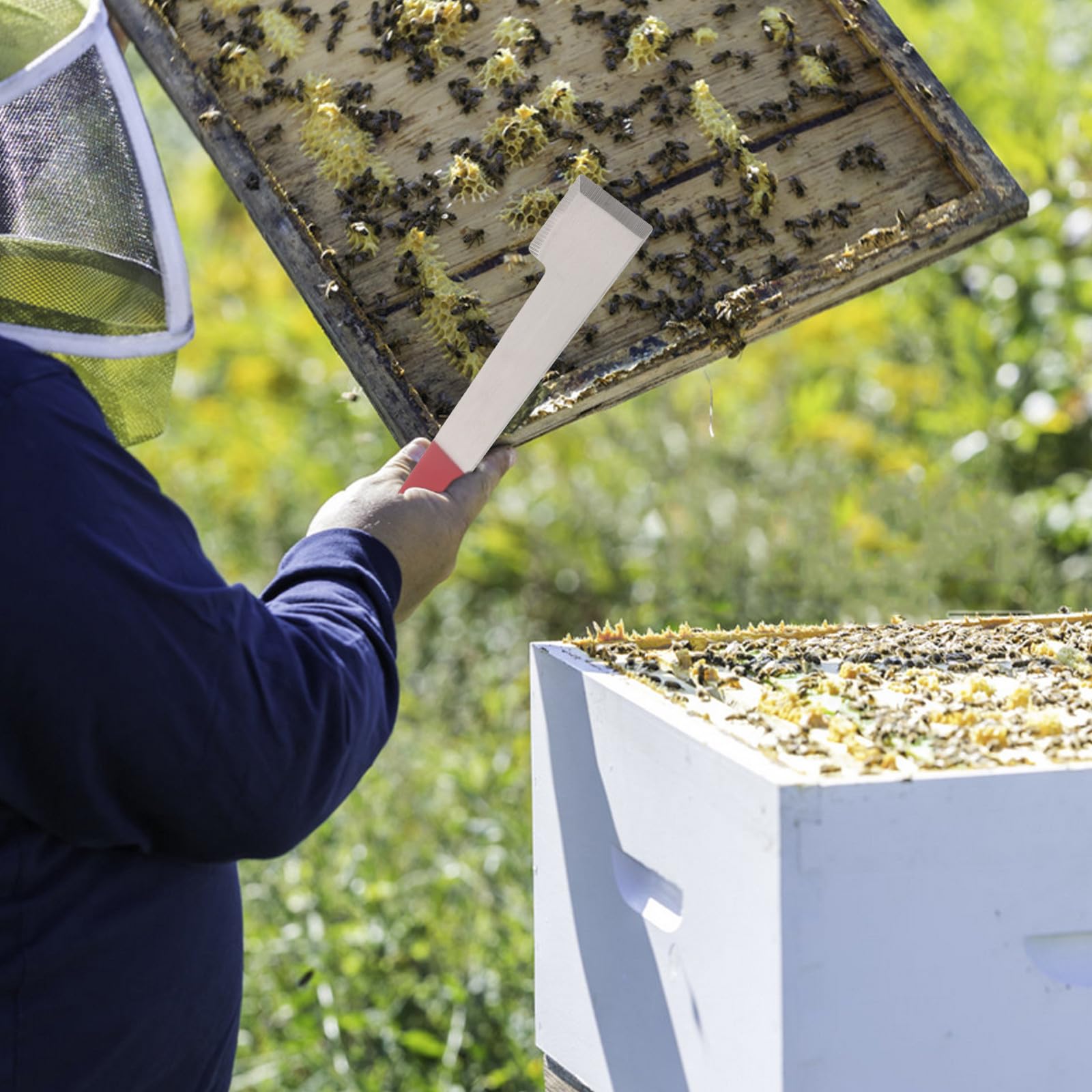 INOOMP Set di 5 attrezzi per apicoltura: sollevatore per telaini in acciaio, gancio per raschietto per , leva per arnia con impugnatura antiscivolo, gadget per la manutenzione 'arnia
