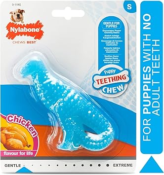 dinosaur dog chew