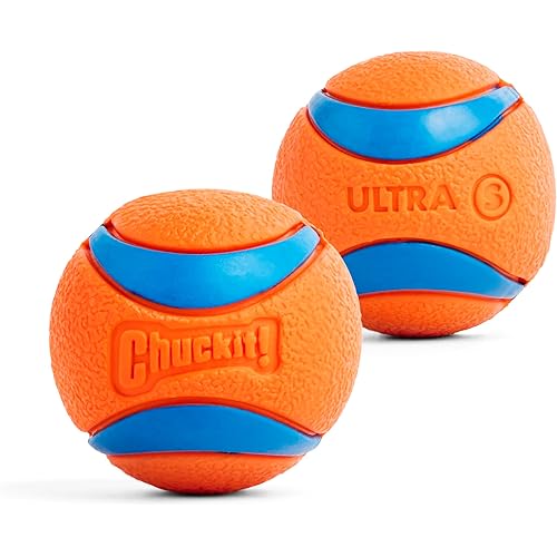 Chuckit! Ultra Ball Dog Toy, Balls for Dogs to Fetch, Durable Rubber, Small 2-inch, Pack of 2