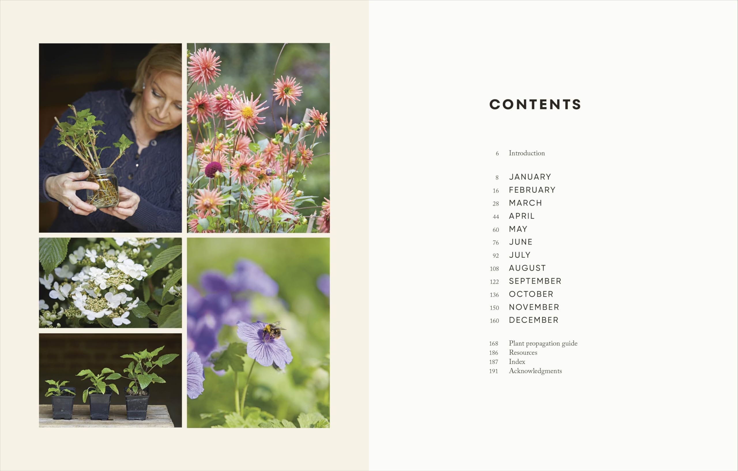 The Money-Saving Garden Year: A Month-by-month Guide to a Great Garden that Costs Less