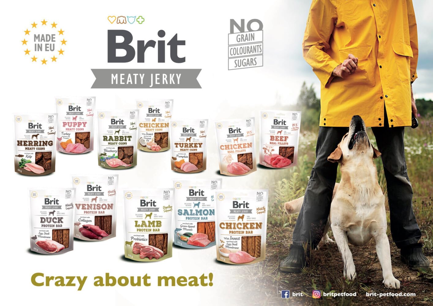 Snacks pour Chiens VAFO PRAHA s.r.o. Bret Dog 200 g Snack Jerky Beef Filets / 8