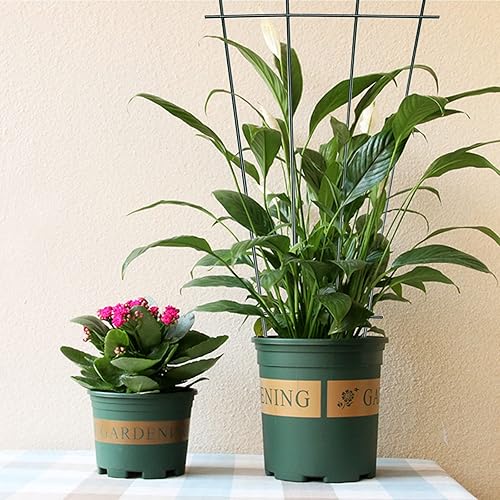 Miniatura 3 de Paquete de 2 pequeños enrejados de jardín para plantas trepadoras, plantas en maceta de hierro, soporte para el cultivo de plantas trepadoras,