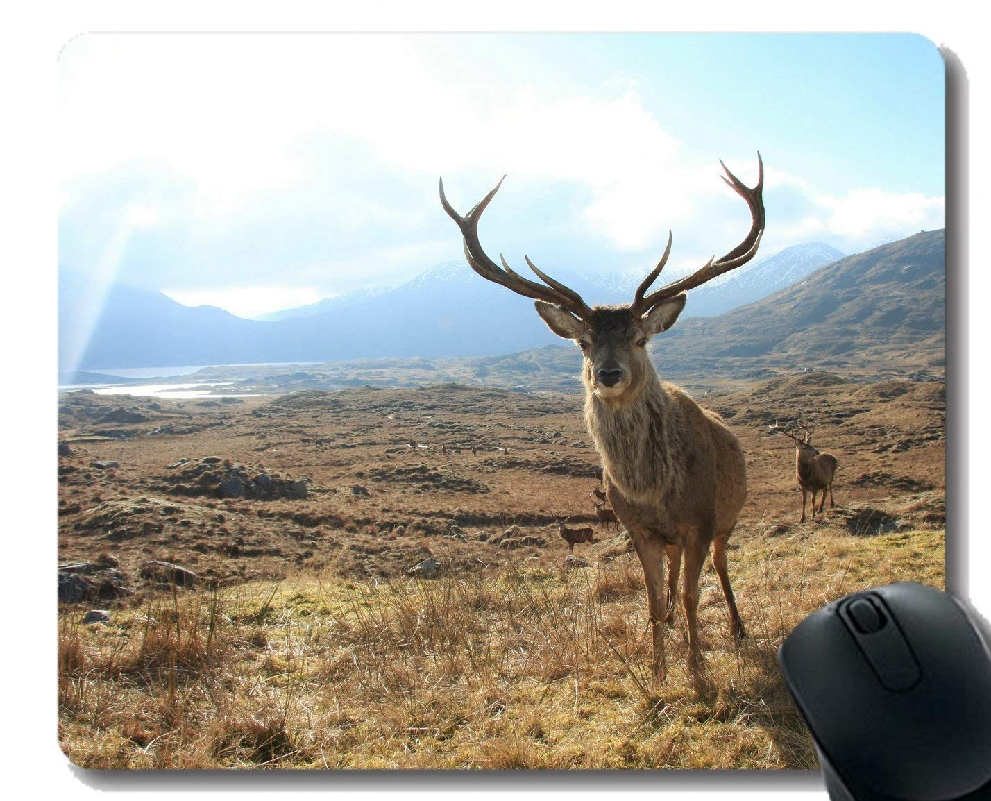 Mouse Pad,Red Deer -Stitched Edges
