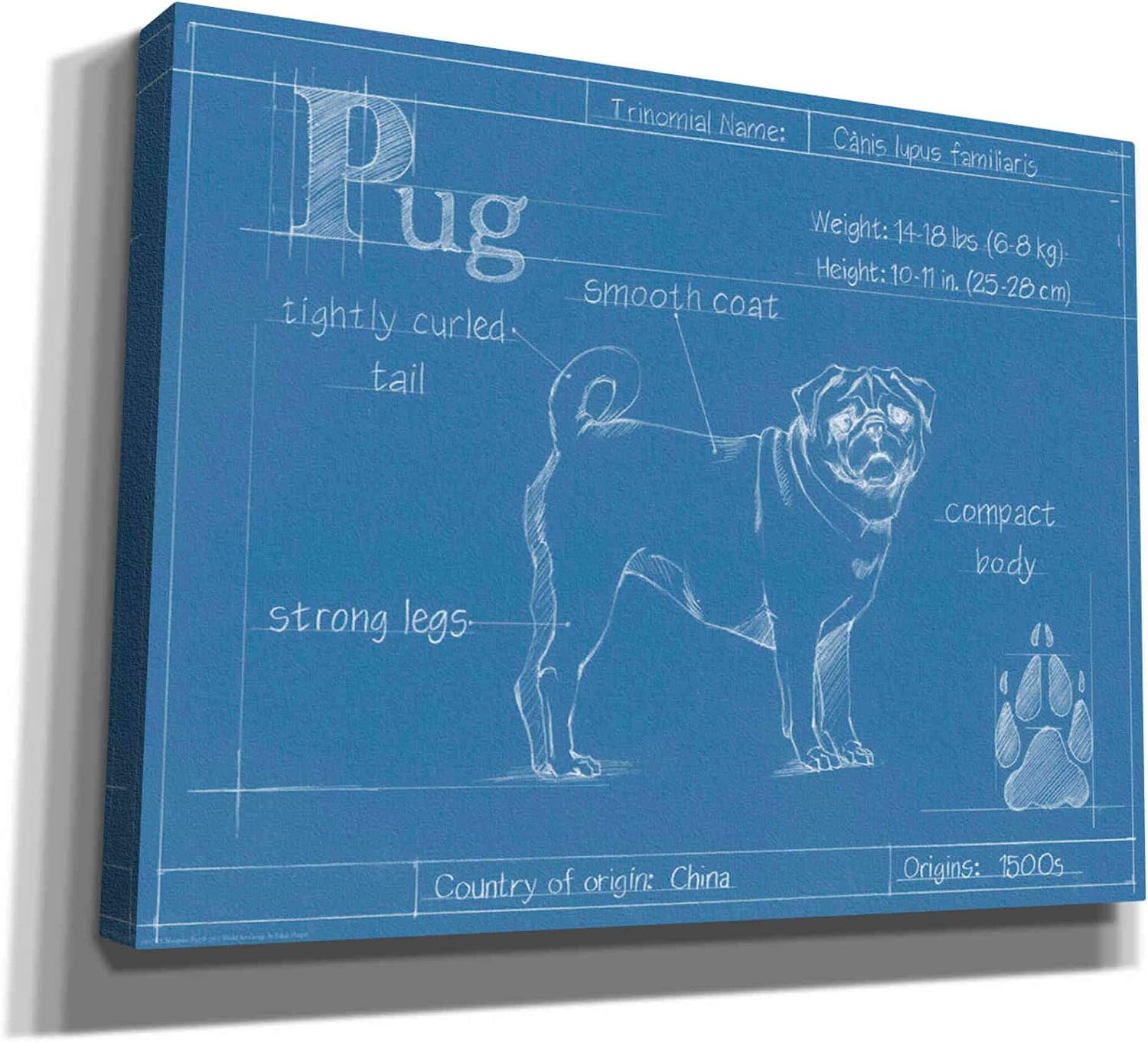 Epic Graffiti 'Blueprint Pug' by Ethan Harper Canvas Wall Art, 16"x12"