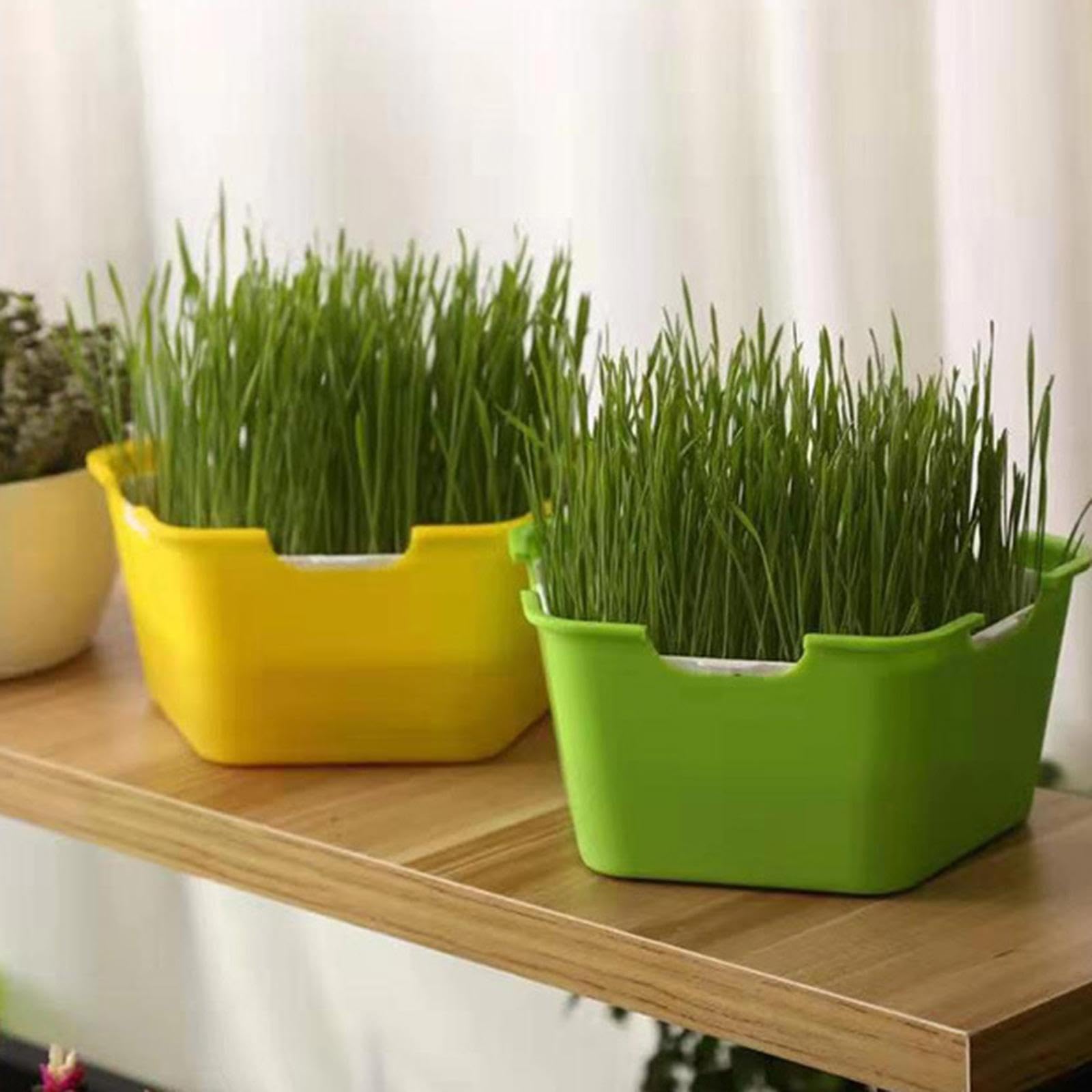 Merishopp Seed Sprouter Tray with Lid Kit Garden Plant Germination Wheatgrass Sprouter Yellow-image-25