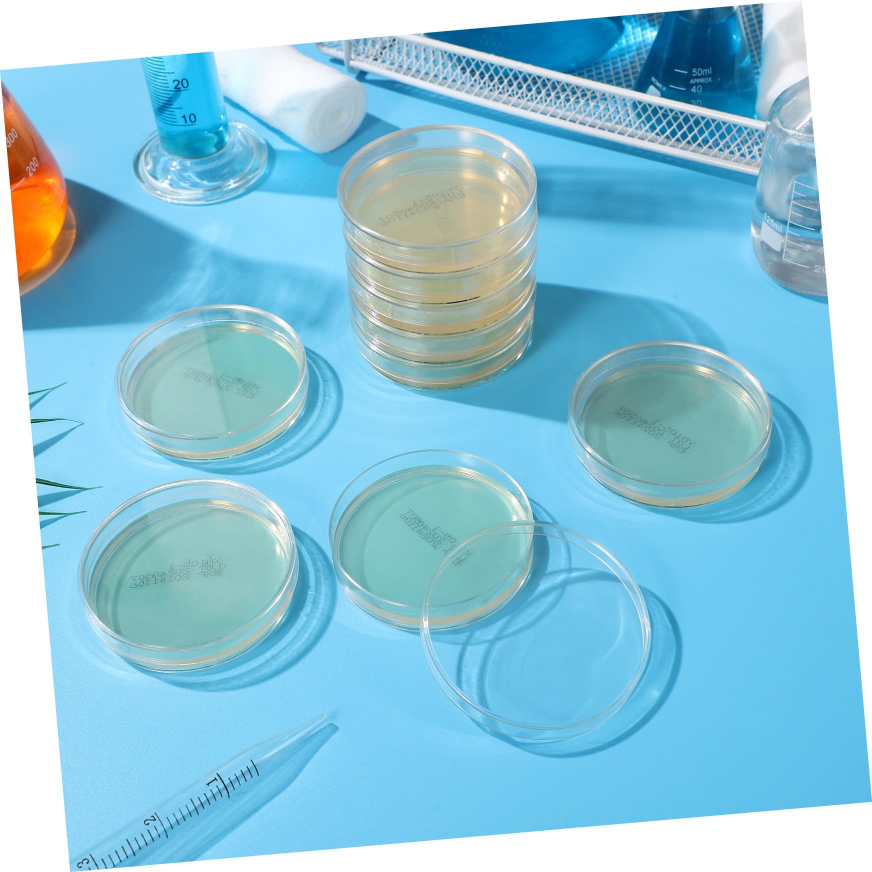 Piastre Petri con Agar 7cm, 10 Pezzi, per Coltura Microbiologica | Pronte All’uso, Strato Spesso di Agar, per Esperimenti Scientifici Stem, Decorazioni Scuola