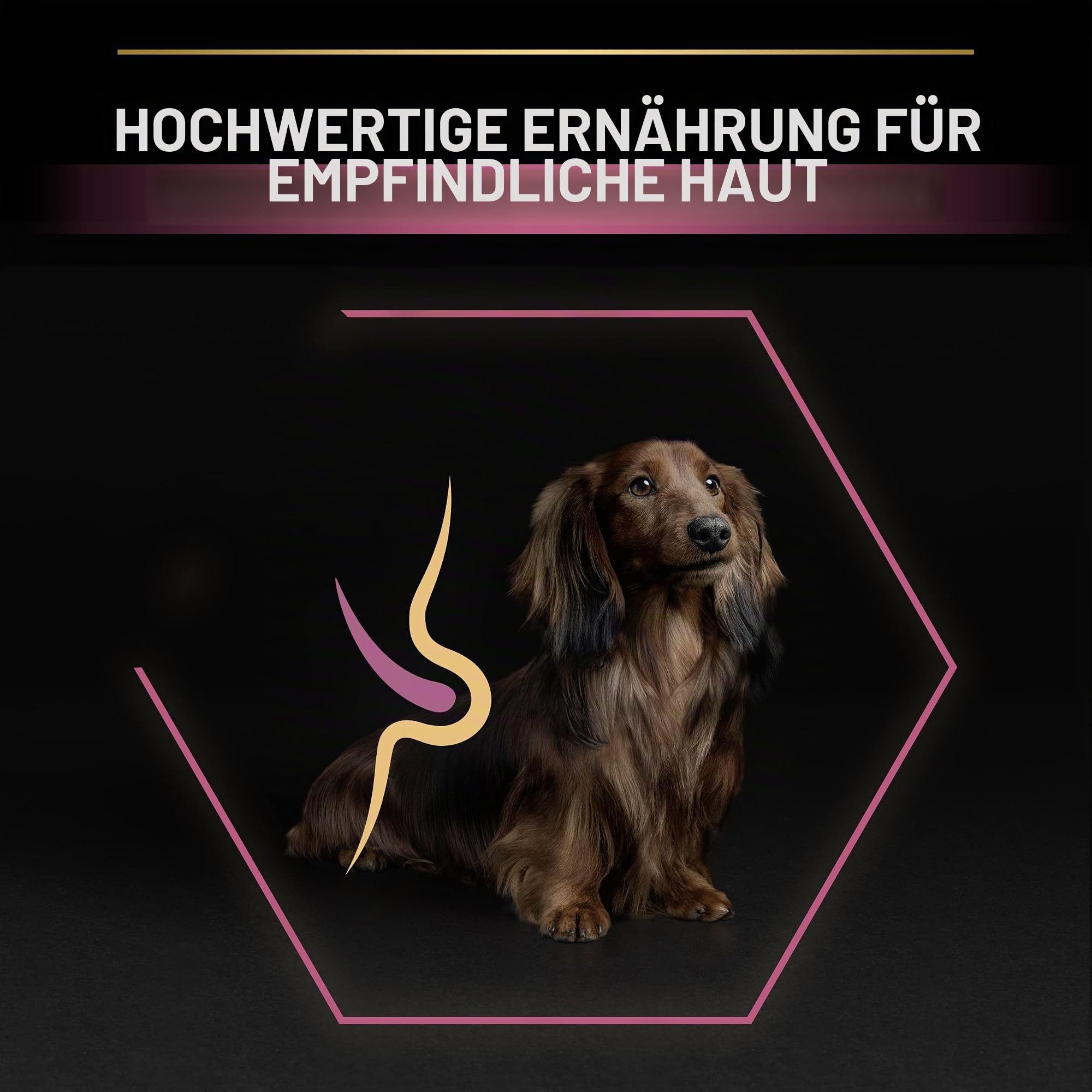 PURINA PRO PLAN | Sensitive Skin | Komplett-Trockenfutter für kleine Hunde | Fördert gesunde Haut und glänzendes Fell | Lachs | Trockenfutter | Beutel | 7 kg