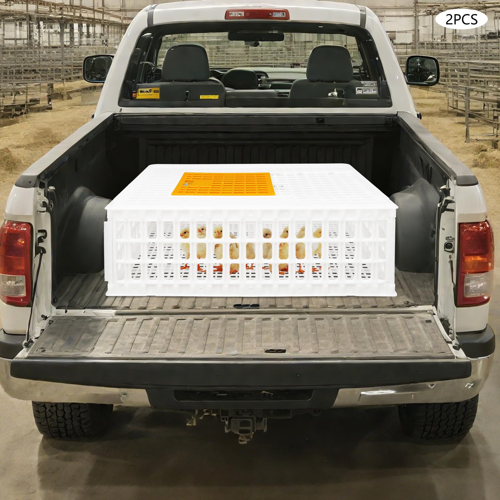 2 Stück Geflügel Tragetasche, Huhn-Transportkäfig mit Schiebetür und Transportgriffen, Korb Box für Geflügel, Huhn, Vogel, Ente, Gans, 200kg Tragfähigkeit, 77 * 55 * 27 cm (Weiß)