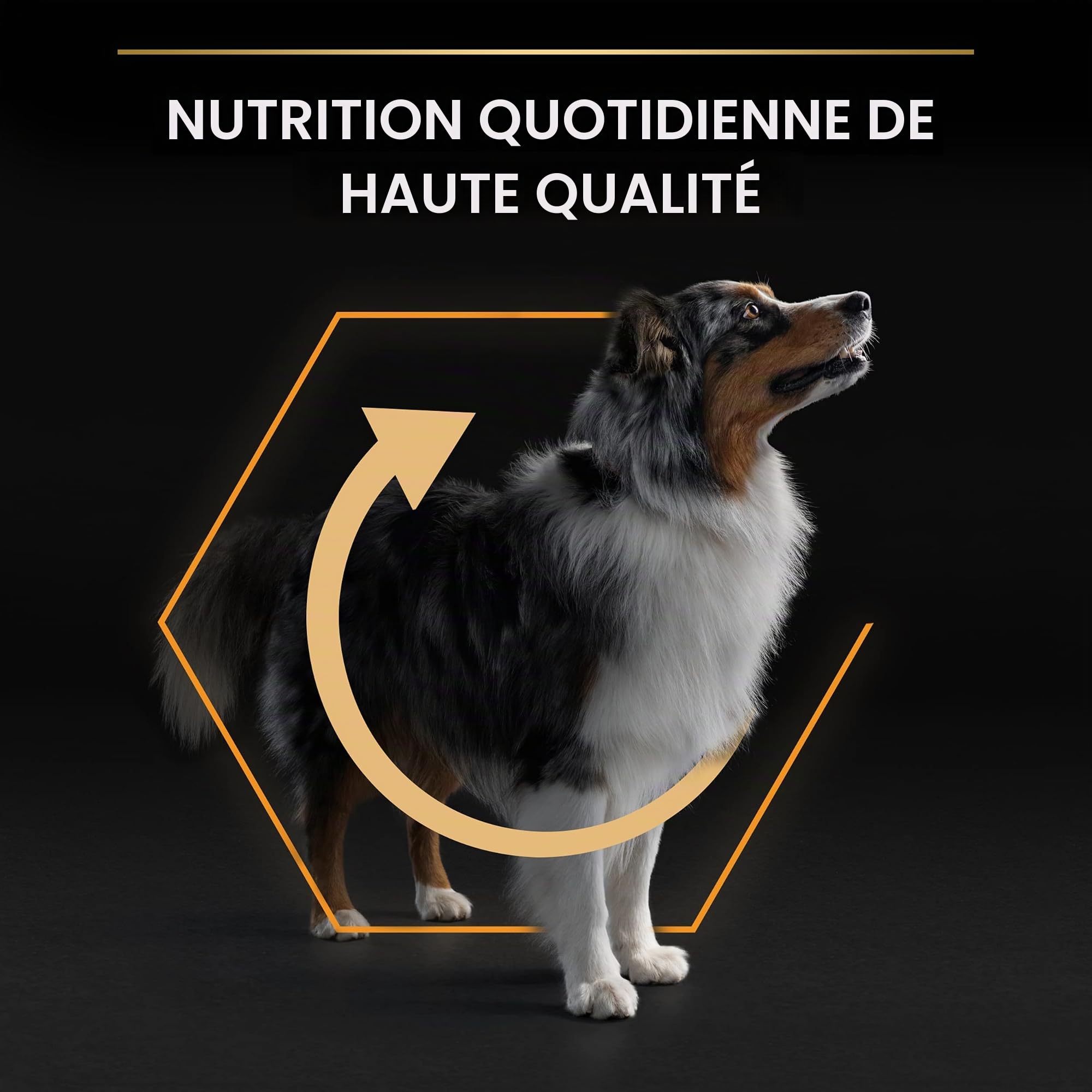 Purina Pro Plan – Aliment sec pour chien adulte moyen avec Optibalance 4 x 3 Kg