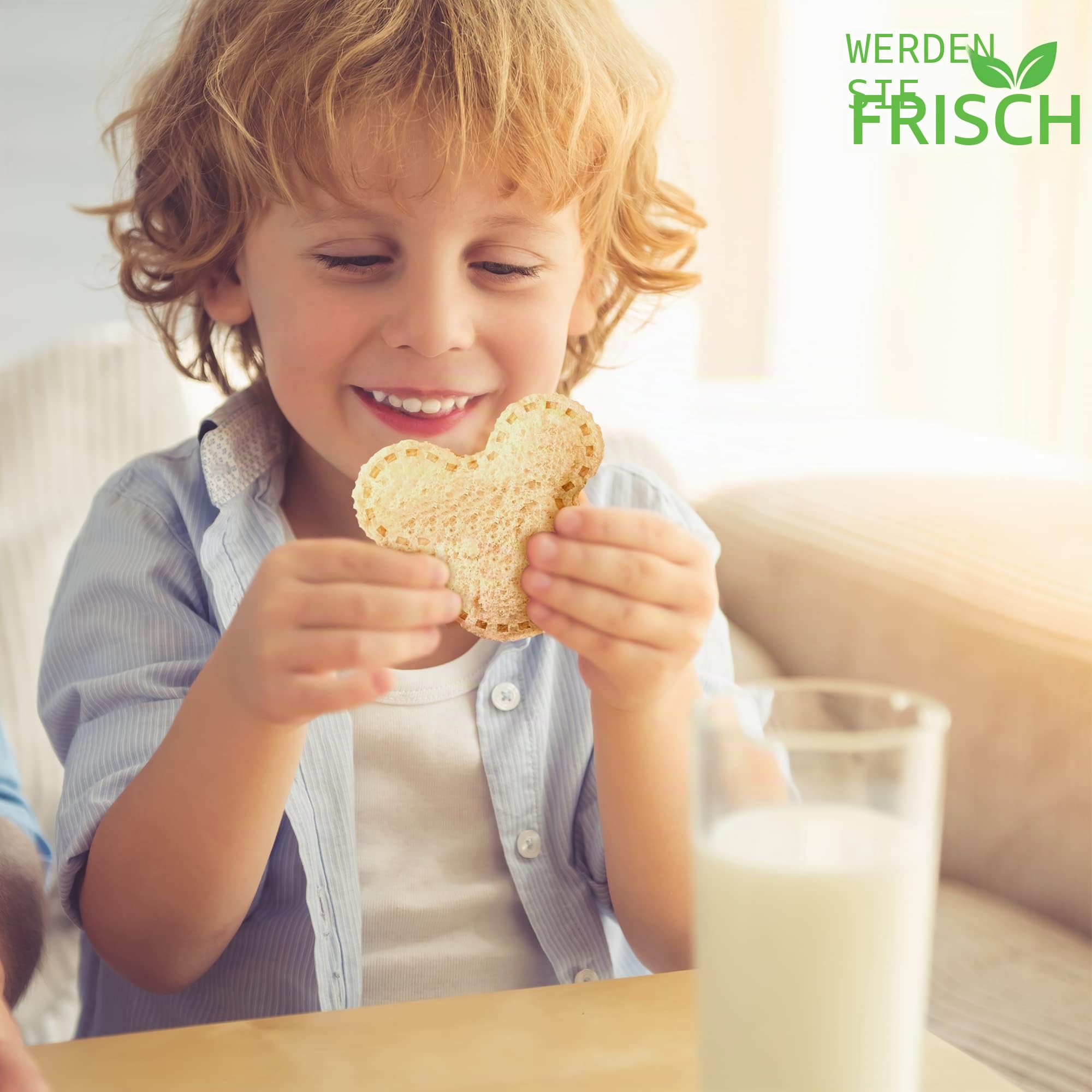 GET FRESH Sandwichschneider und Versiegler für Kinder -17 Stück Kinder Edelstahl Decruster Sandwich Ausstecher Gemüseschneider - Dino Metall Brotschneider und 5 Gemüseformen mit 10 Tiere Zahnstocher