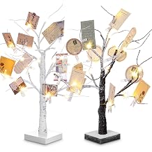 Coume 2 Pcs Money Tree Gift Holder with 18 Inch LED Lights and 30 Clips