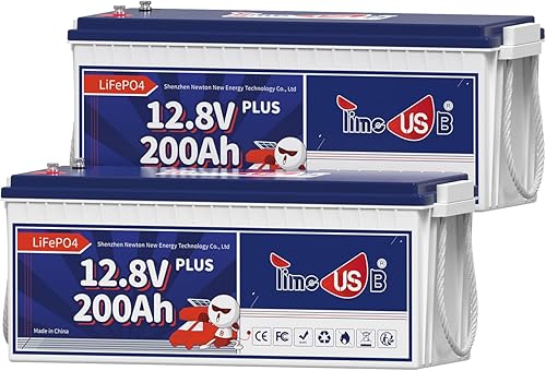 Timeusb LiFePO4 Batería de 12 V 200 Ah Plus, batería de ciclo profundo con potencia de salida máxima de 2560 W, batería de litio integrada de 200 A