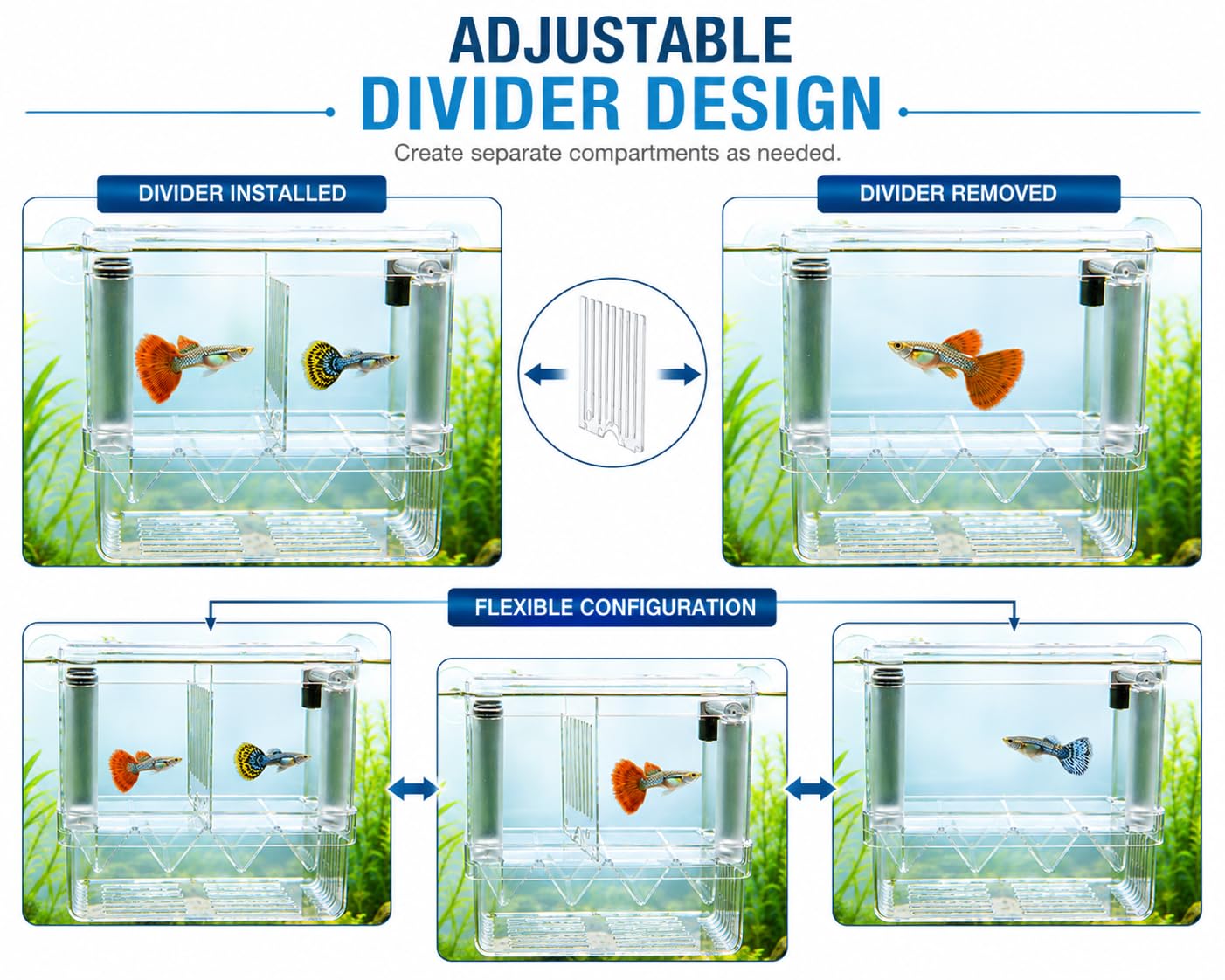 Scroll Store Aquarium Double Deck breeding Box for Fish | Isolation Box for Fish and Shrimp (Large) 4