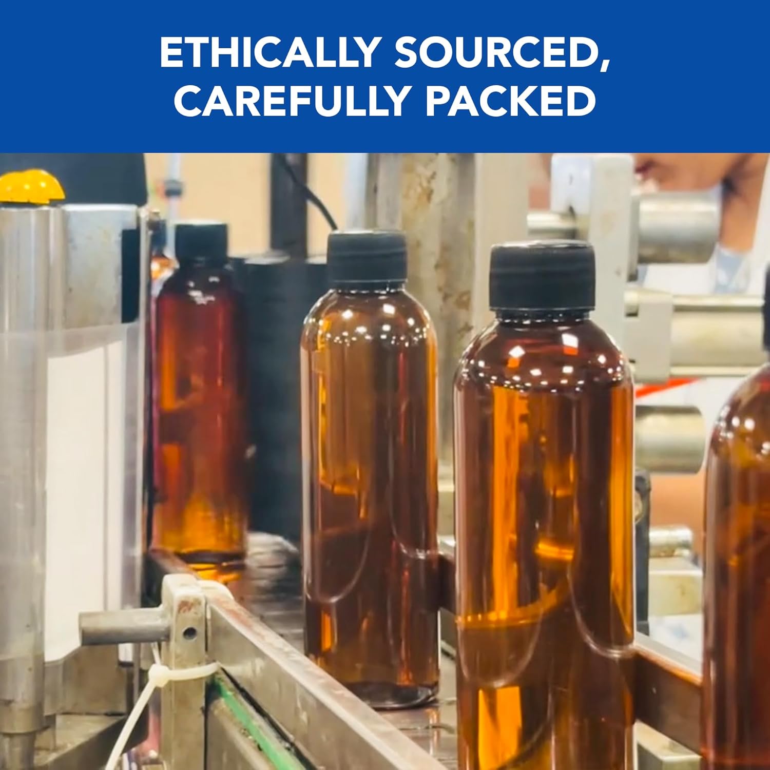 Botanic Hearth Hair Oil for Hair Growth | Rosemary Oil for Hair Growth with Biotin, Castor & Jojoba | Scalp Oil & Dry Scalp Treatment | Color Safe | All Hair Types | 6.7 Fl Oz - Image 6