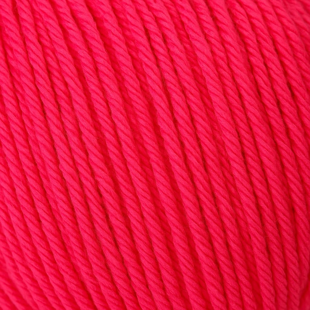 Big Twist Value Yarn 2-Pack Bundle-Diva Pink 100% Acrylic, 6oz Skeins (380 yds Each)