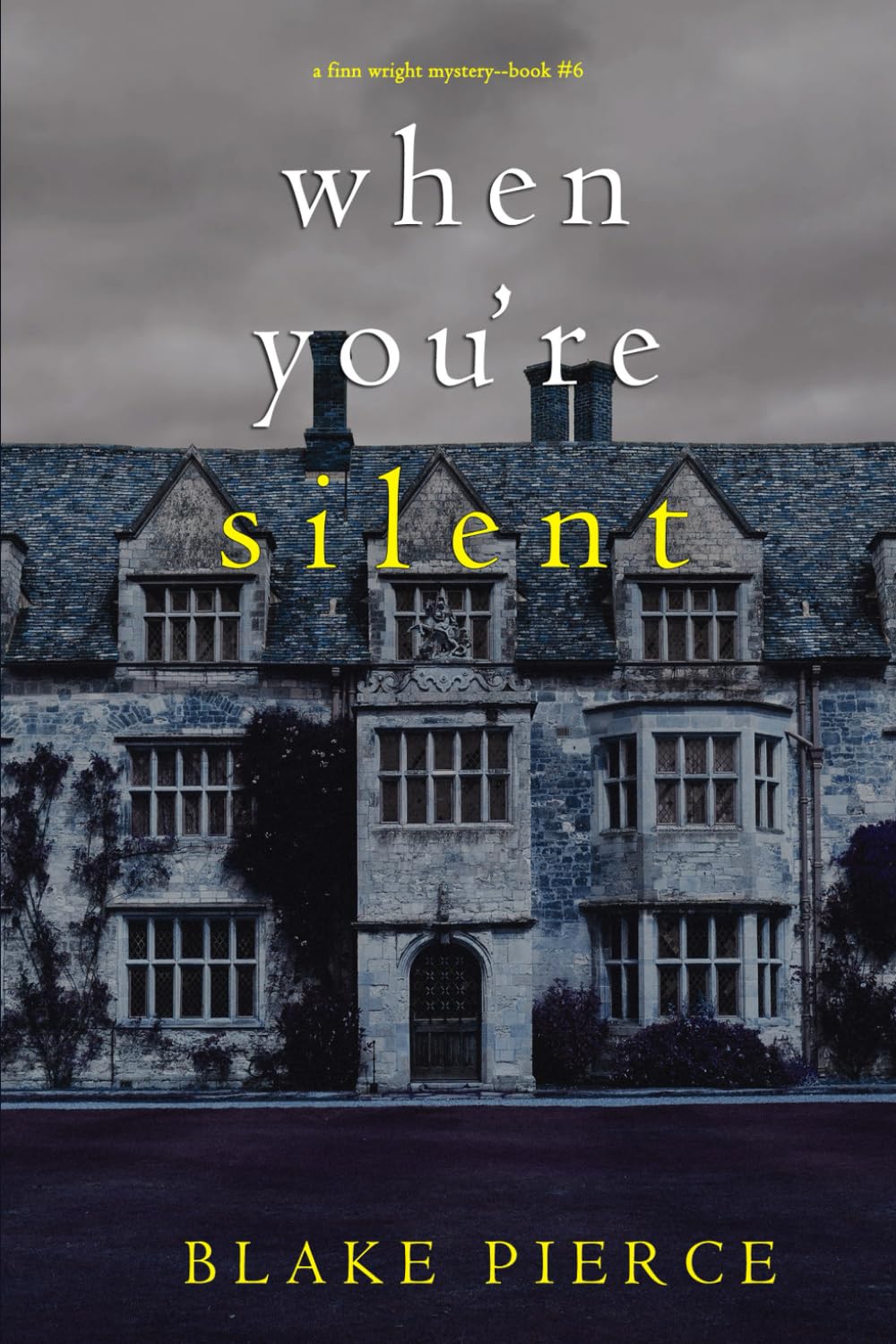When You’re Silent (A Finn Wright FBI Mystery—Book Six)
