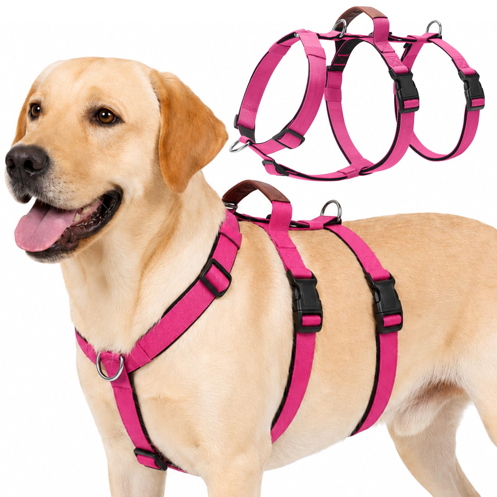 Olcyren Escape Proof Dog Harness for Medium Large Dogs, No Pull 3 Point Adjustable Dog Harness with Front Clip, Anti Pull Lightweight Breathable Pet Vest with Soft Padded Handle (Rose Red, M)