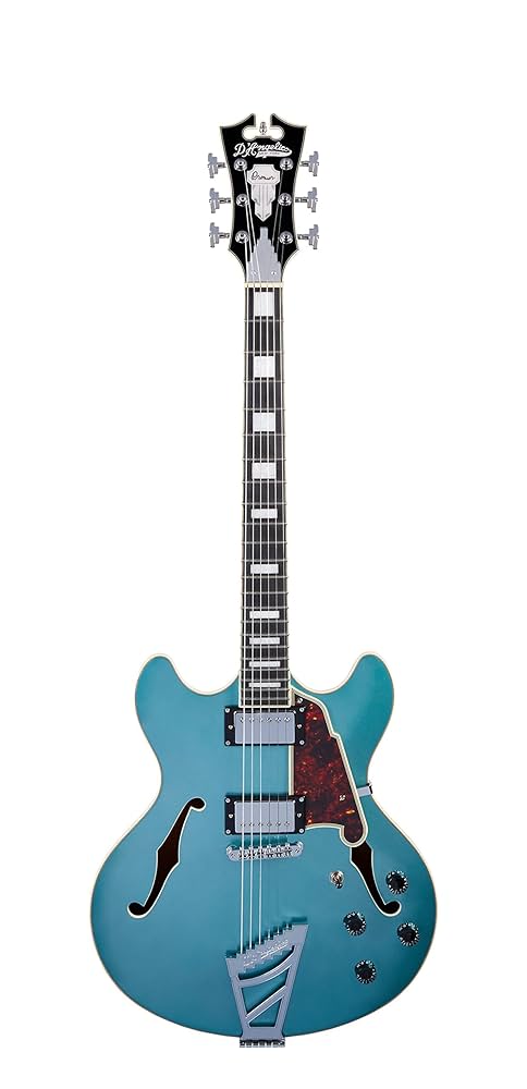 Amazon.com: D'Angelico Premier DC Semi-Hollow Electric