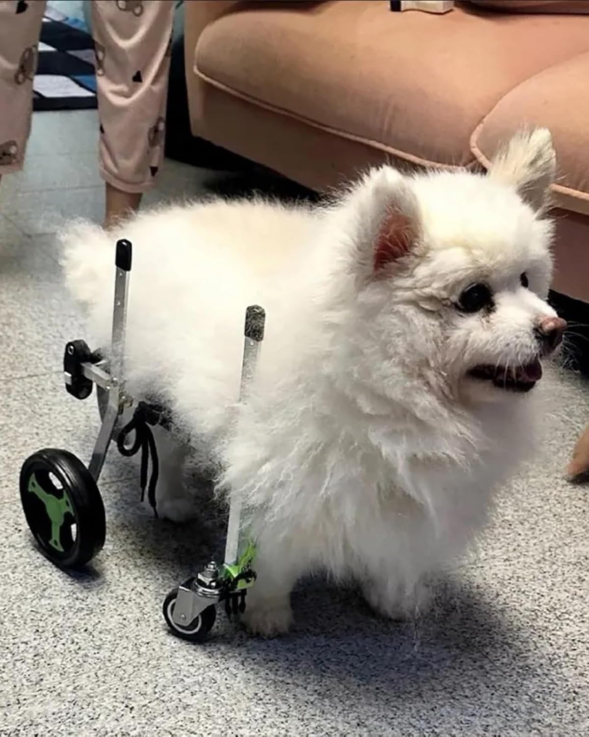 ENHEN Dog Wheelchair All Legs Full Support Dog Walker Cart, XXS - L Size Lightweight Small/Medium/Large Pet Wheelchair, Aluminum Frame Cat Knee Brace Stroller(Size M)