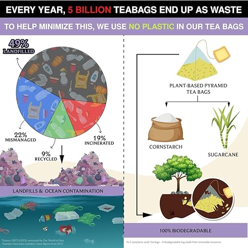 Vista 72 de BREWIX Bolsas de té de albahaca sagrada (15 bolsas de té piramidales) Camiseta con hojas de tulsi y manzanilla Sin cafeína, té de hierbas