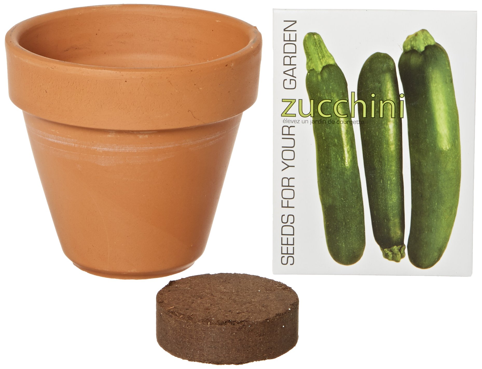 S.F. Imports GB-ZUCCHINI/MD Grow Your Own Medium Vegetable Kit, Zucchini
