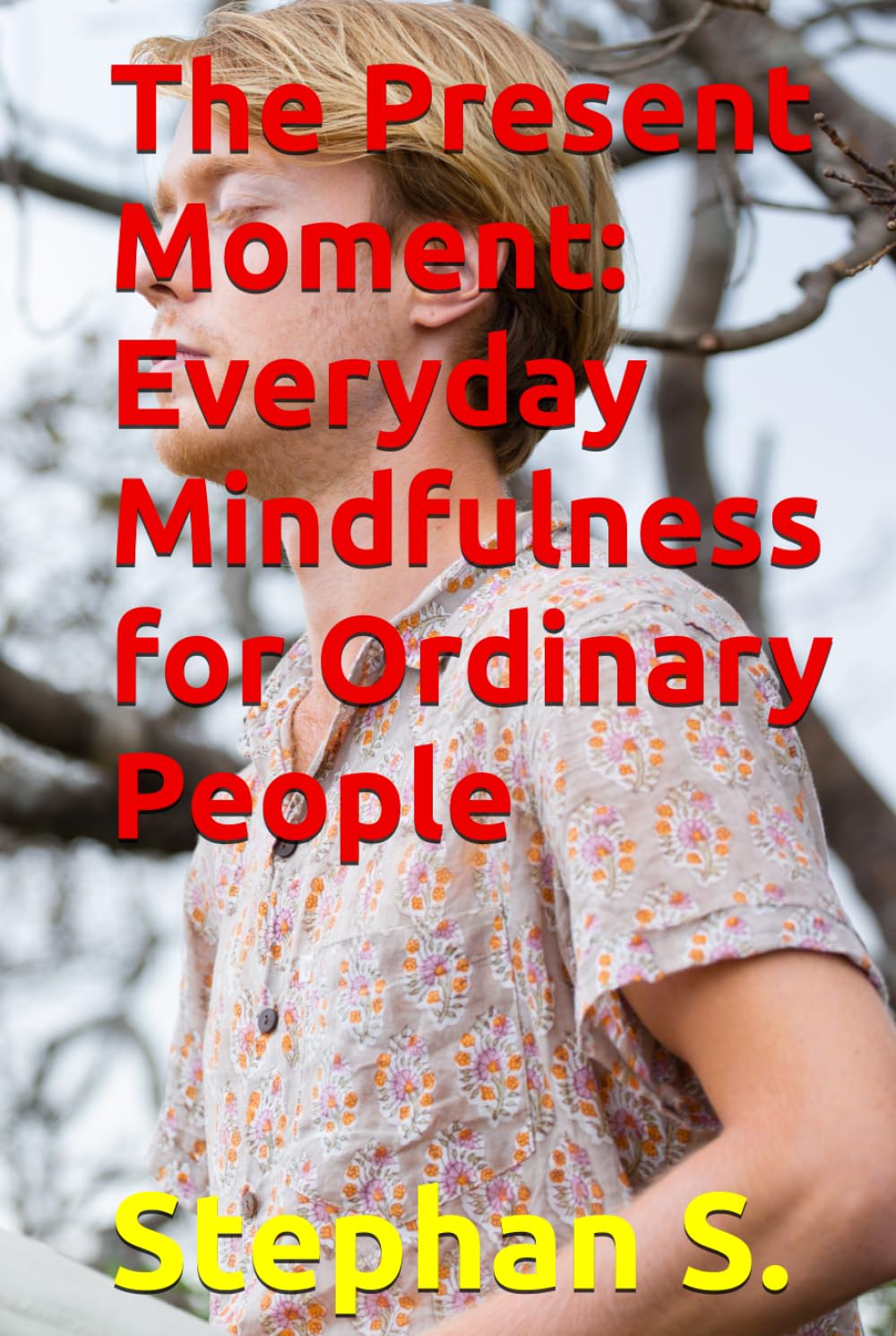 The Present Moment: Everyday Mindfulness for Ordinary People