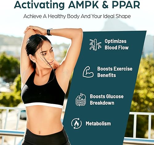 Miniatura 3 de Berberina Liposomal HCl 1500 mg - Suplemento de Berberina Activa AMPK - Respalda Equilibrio Corporal en Mujeres y Hombres - Puridad Testada por