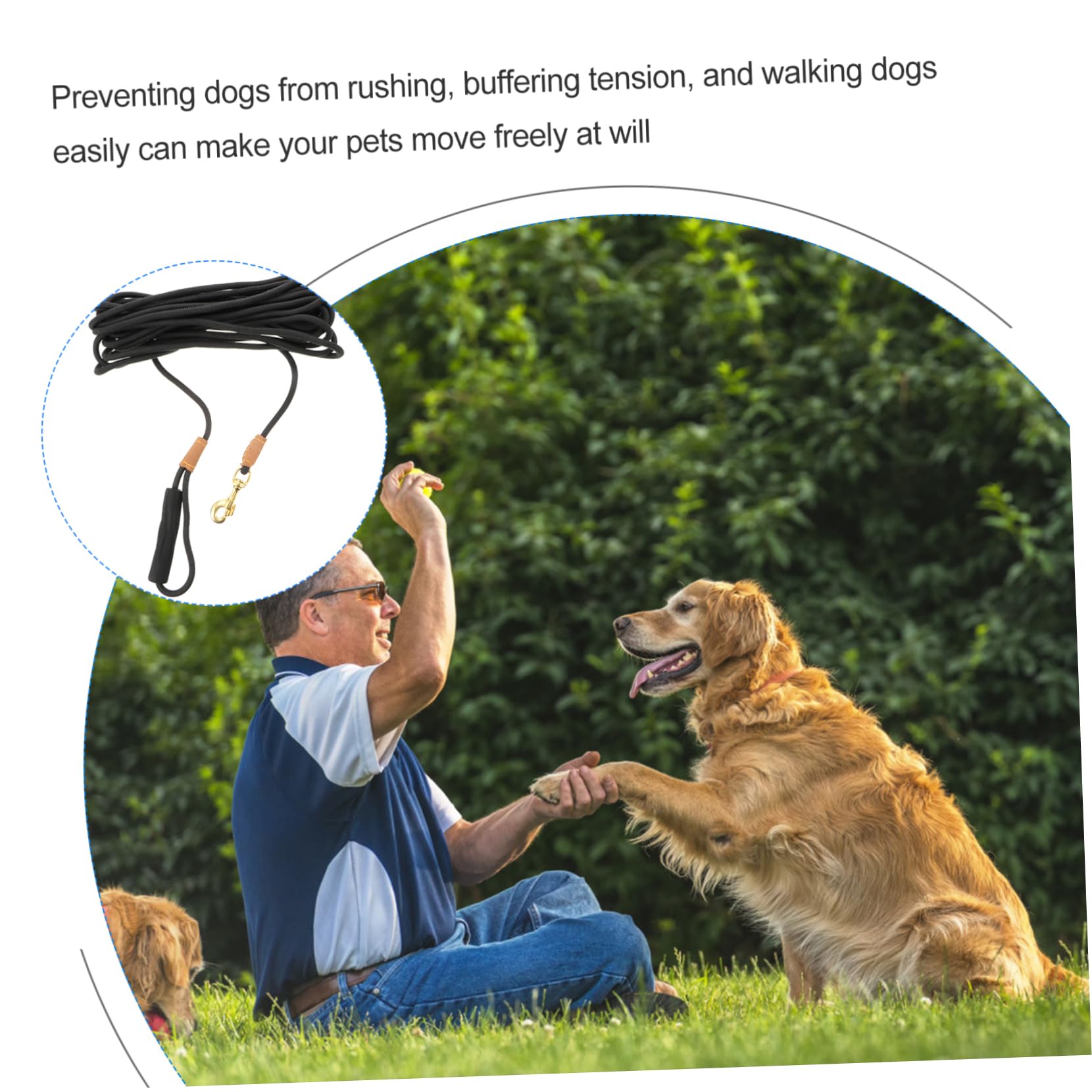 TOYANDONA Guinzaglio Per Cani Da Metri Corda Da Trazione Per Passeggiate Guinzaglio Resistente Per Animali Domestici Corda Da Addestramento Per Camminare
