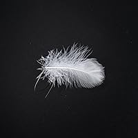 Vista 8 de MOOX Relleno de almohada de plumas de plumón para proyectos de bricolaje de plumas de ganso natural de alta calidad 5/95, suave y esponjoso