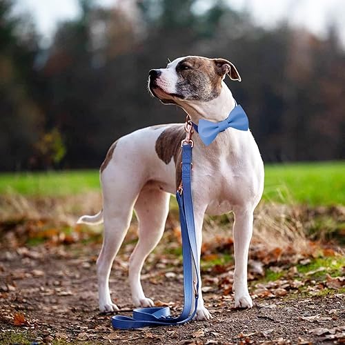 Miniatura 8 de Collar de cuero suave para perro, ajustable, lindo collar de pajarita fácil de limpiar con elegante hebilla de metal resistente de oro rosa para